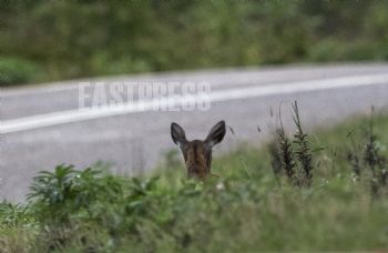 EA280930, Eastpress, Porvoo, Finland